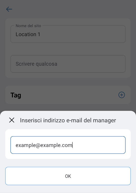 AddingManagerInTheApp_04_EnteringEmail.png