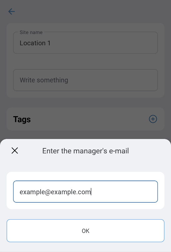 AddingManagerInTheApp_04_EnteringEmail.png