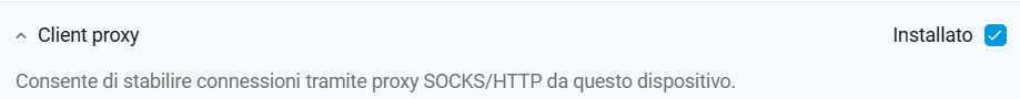 proxy-client-component-en.png