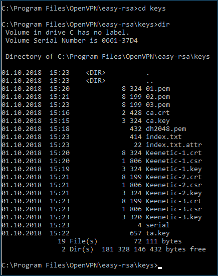 openvpn-server20-en.png