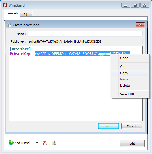 wireguard-windows-05-en.png