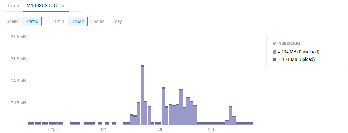 host_traffic_monitor5_en.png