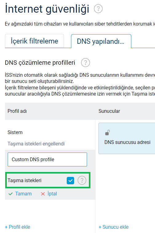 transit-dns-requests-en.png