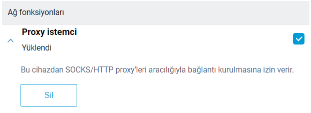 proxy-comp-en.png