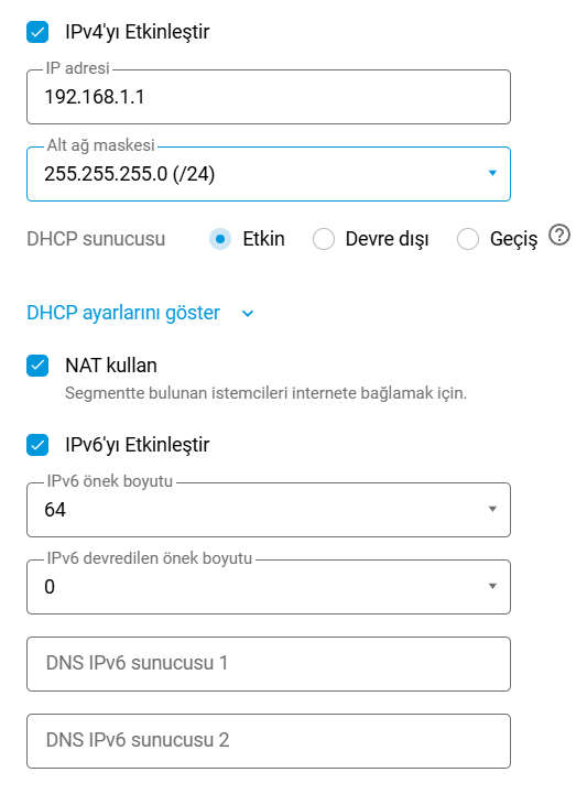 ipv6-settings-segment-en.png