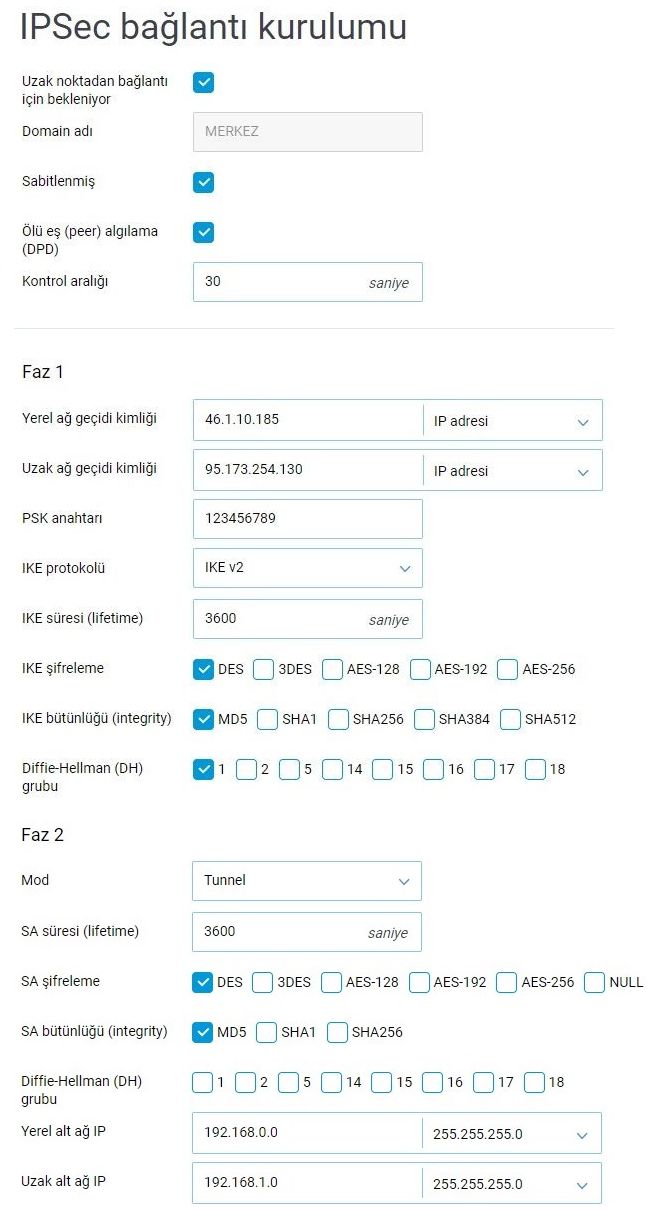 ipsec-site-to-site4-en.png