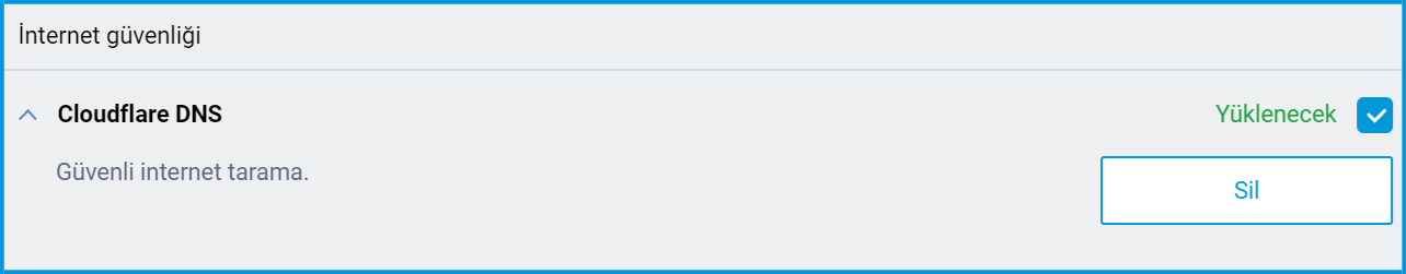 cloudflaredns1_en.png
