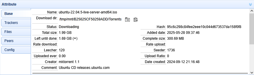 torrent09_en.png