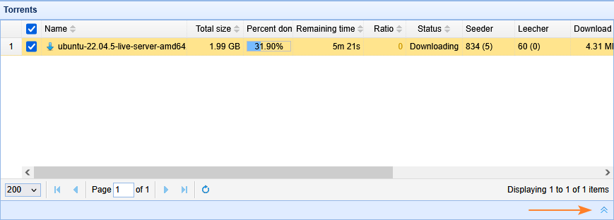 torrent08_en.png
