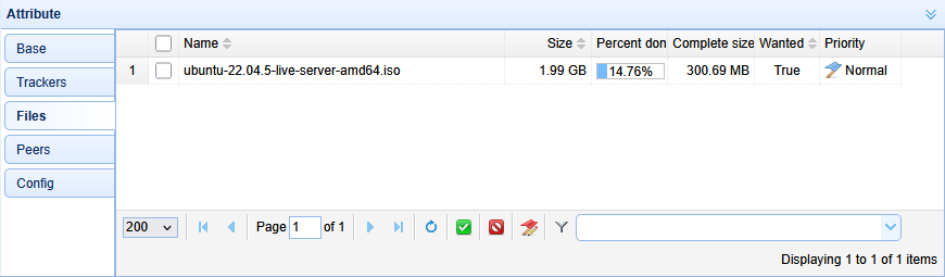 torrent12_en.png