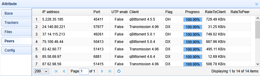 torrent10_en.png